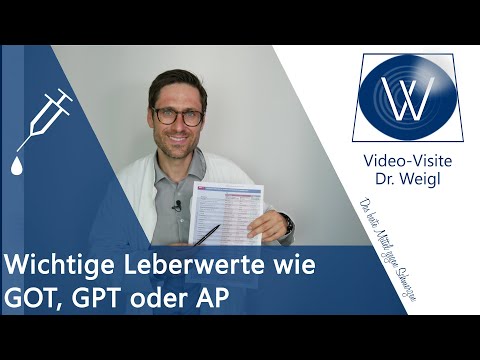 Wichtige Leberwerte erhöht: GOT, GPT, Gamma GT verbessern &amp; senken ⏩ Bedeutung &amp; Ursachen verstehen