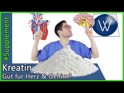 Kreatin: Wirkung &amp; Prophylaxe - Können auch unser Herz, Knochen &amp; Gehirn vom Supplement profitieren?