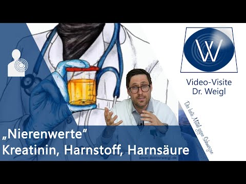 Erhöhte Nierenwerte in Blut &amp; Urin 🔎 Kreatinin, Harnsäure, Harnstoff &amp; Cystatin C verbessern