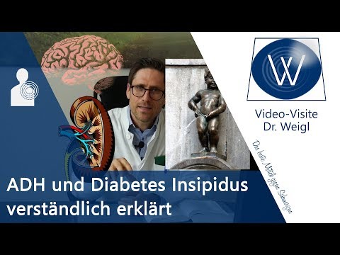 Ständiger Harndrang❗Diabetes Insipidus⚡ Probleme Antidiuretisches Hormon (ADH, Vasopressin) vs SIADH