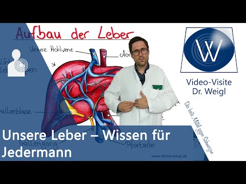 Unsere Leber - Gesünder leben durch Leber reinigen? Alles über Aufbau, Funktionen &amp; Leberkrankheiten