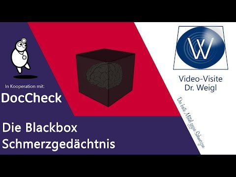 Schmerzgedächtnis &amp; Neuroplastizität - Chronische Schmerzen im Gehirn: Entstehung &amp; Löschung 🤔