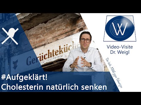 Cholesterin natürlich &amp; dauerhaft senken❗Was ist Wahr - Was ist Mythos❓Meine Tipps ohne Medikamente