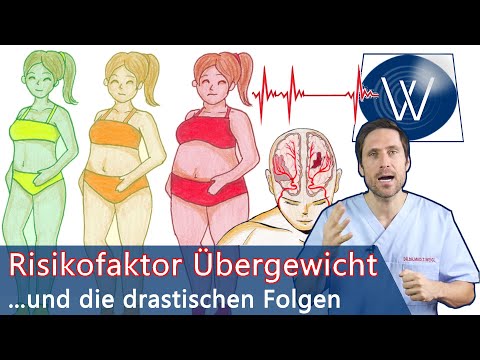 Risikofaktor Übergewicht &amp; Folgen: Warum zuviel Körperfett Lebensjahre kostet &amp; Krankheiten macht