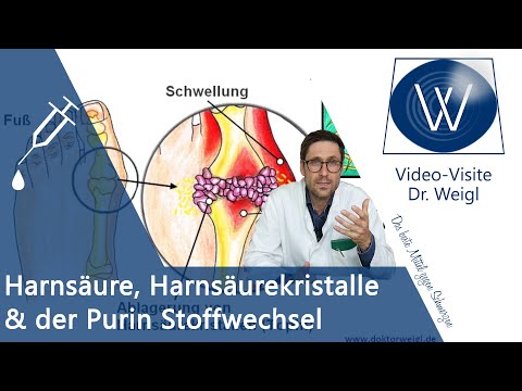 Was ist unsere Harnsäure? Purinstoffwechsel, Aufgaben &amp; Ursachen für einen erhöhten Harnsäurespiegel