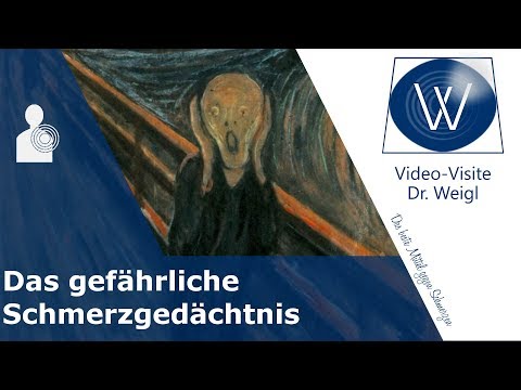 Was ist chronischer Schmerz? Wie durch Langzeitpotenzierung im Gehirn ein Schmerzgedächtnis entsteht