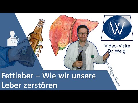 Fettleber &amp; Leberschaden durch Alkohol, falsche Ernährung, Medikamente 🍻🍔💊 erkennen &amp; behandeln