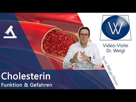 Cholesterin HDL &amp; LDL - Kein Gift aber lebensnotwendig und trotzdem gefährlich: Hypercholesterinämie