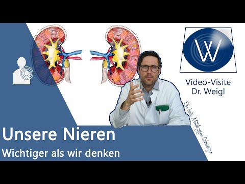 Unsere Nieren: Aufbau, Aufgaben &amp; Funktionsweise einfach erklärt - filtern, Hormone (Vitamin D) etc.