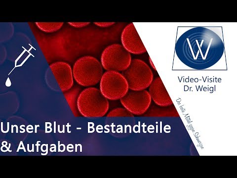 Wozu brauchen wir Blut? Aufgaben &amp; Funktionen rote Blutkörperchen, Thrombozyten &amp; Blutplasma