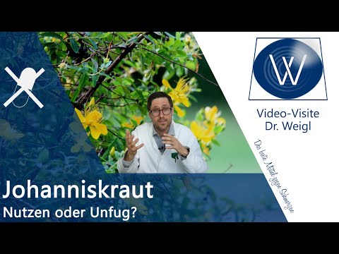 Johanniskraut vs. Antidepressiva: Pflanzliches Wundermittel bei Depression und wie harmlos wirklich?