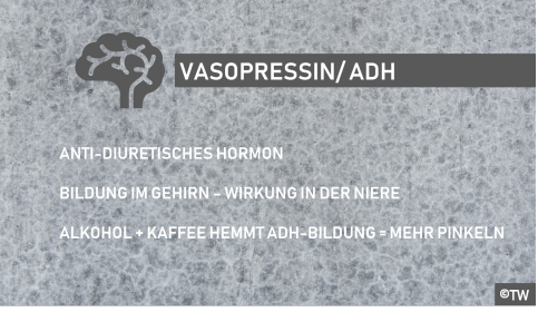 DoktorWeigl erklärt Vasopressin/ADH und sein Einfluss aufs Wasserlassen