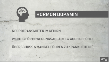 DoktorWeigl erklärt Das Glückshormon Dopamin Aufgaben & Mangel
