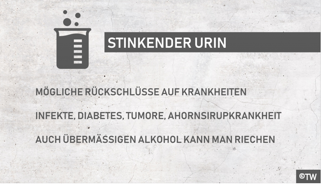 Stinkender Urin Krankheiten und Lebensmittel, wegen denen Urin stinkt