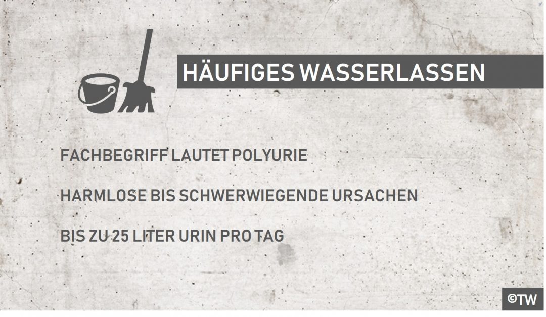 Asserlassen Und Blut Im Urin — Master