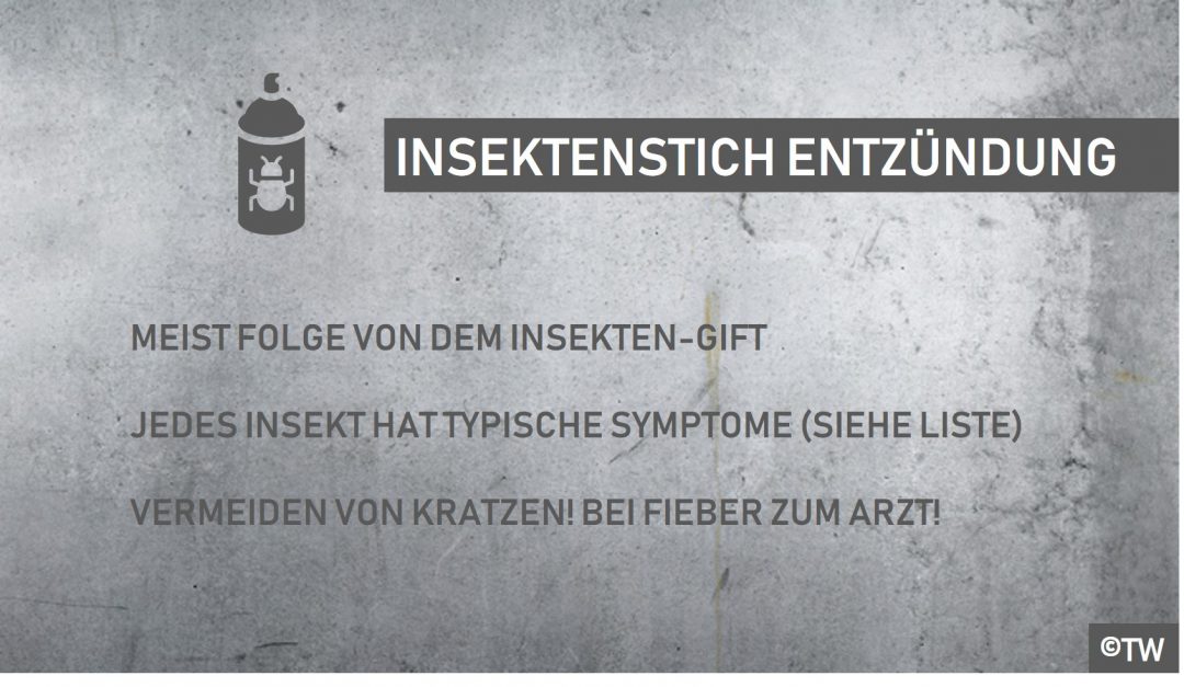 Doktorweigl Erklart Entzundung Durch Insektenstich Was Tun
