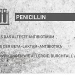 Als Nächstes