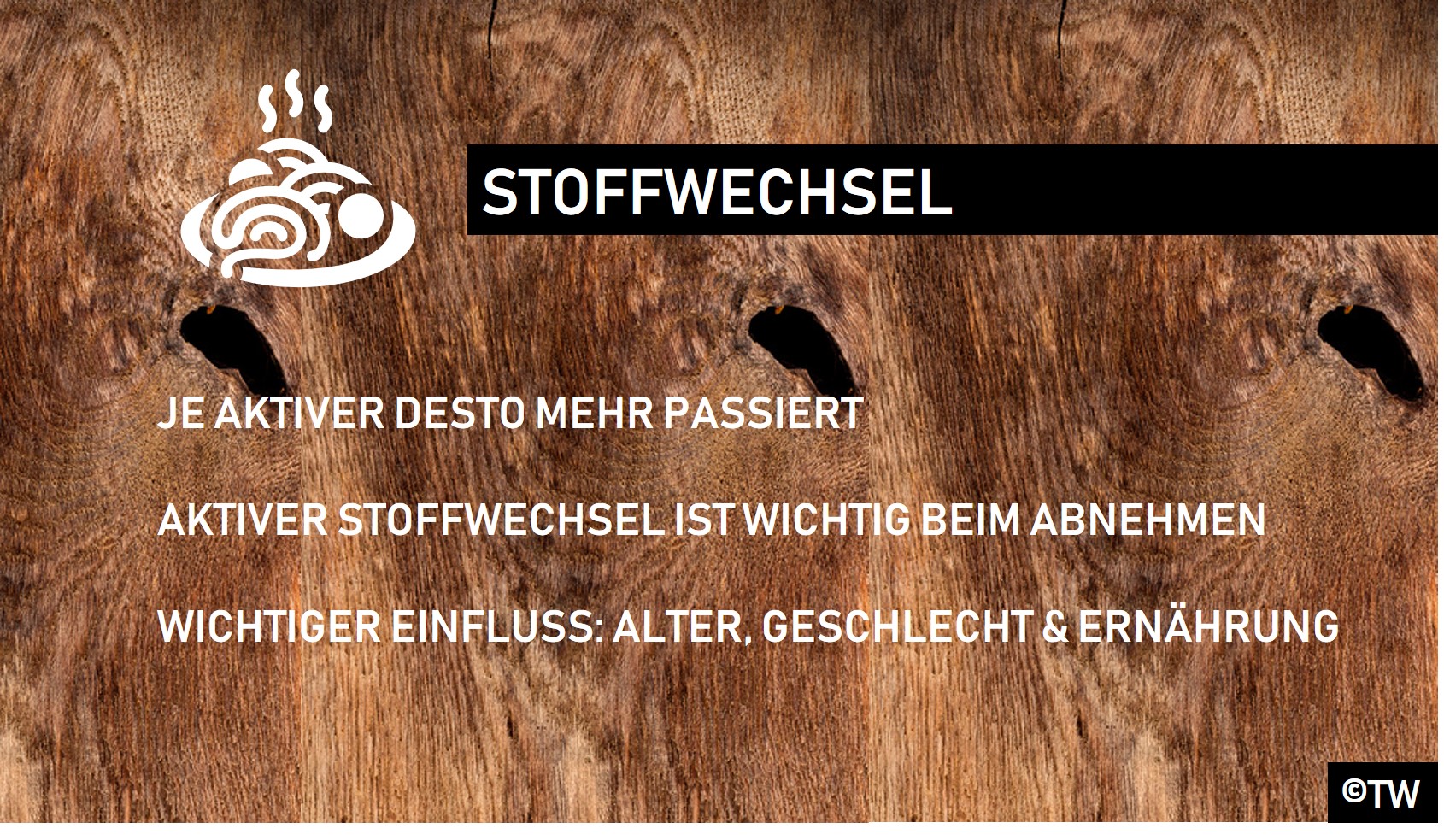 Die Stoffwechsel Formel