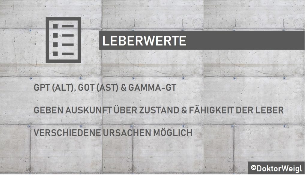 DoktorWeigl erklärt Leberwerte – GPT (ALT), GOT (AST) und Gamma-GT