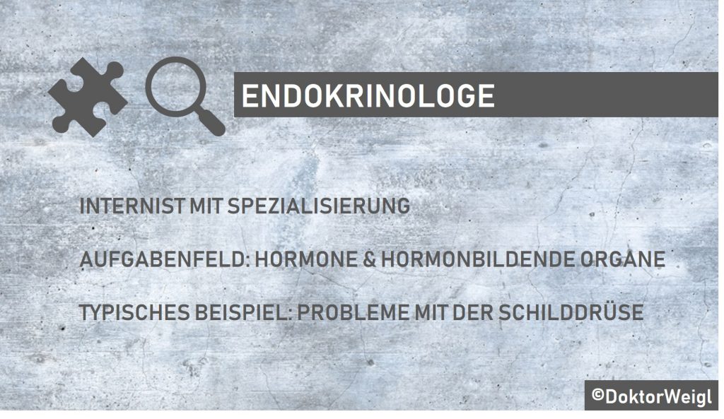 Was Macht Ein Endokrinologe Beim Ersten Termin www.doktorweigl.de