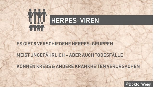 Herpesviren – welche Typen gibt es & welche Krankheiten lösen sie aus?