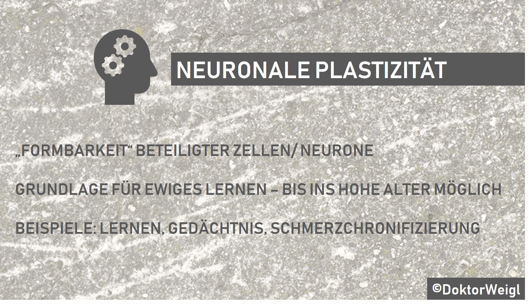 DoktorWeigl erklärt Neuronale Plastizität – Schmerz als Lernprozess