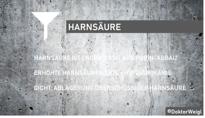 Harnsäure_Hyperurikämie