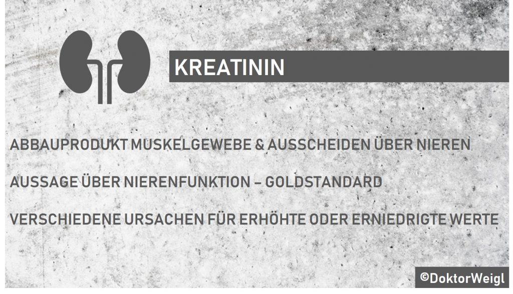 DoktorWeigl erklärt Kreatinin Was sagen erhöhte oder erniedrigte Kreatininwerte über die