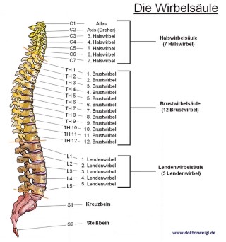 Deckplatteneinbruch LWS in