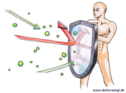 Immunsystem Immunabwehr