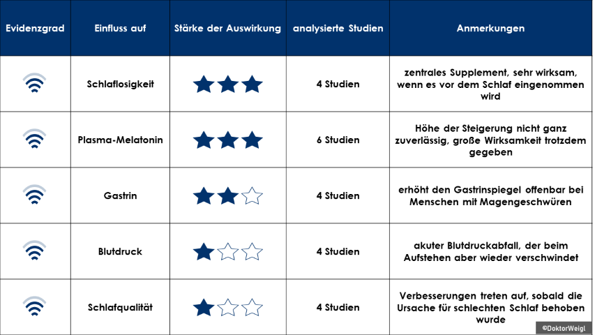 Gehirn Gehirnfunktion Hirn Eule Lerche Schlaf Schlaftyp Leistung Schlafrhythmus Frühaufsteher Langschläfer