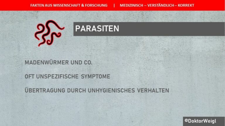 Parasiten beim Menschen – was tun man gegen Madenwürmer und Co.?