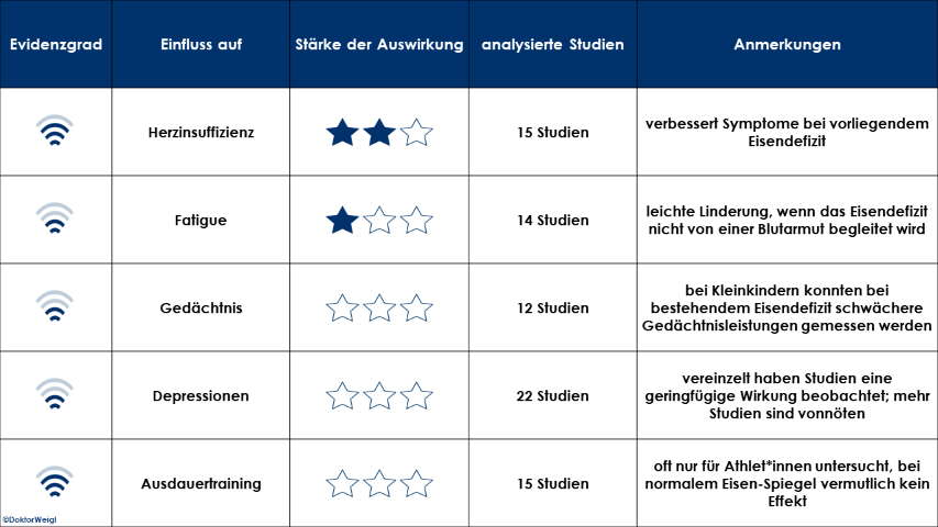 Eisen Forschung Studien Forschungsüberblick