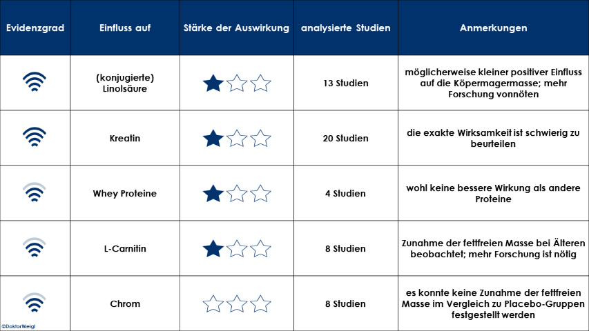 Lean Body Mass Körpermagermasse Magermasse Zusammensetzung des Körpers fettfreie Körpermasse Fettanteil